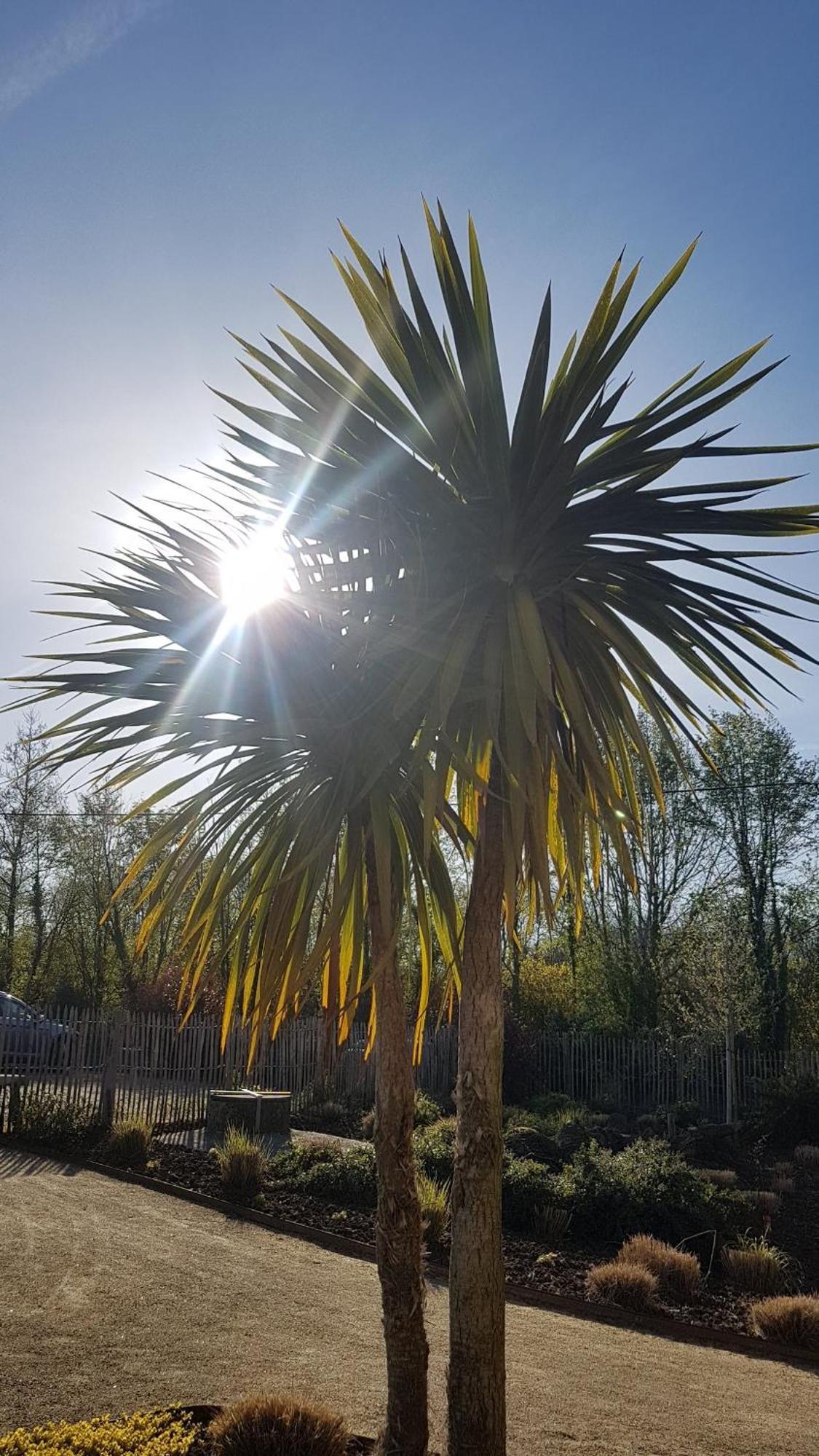 Les Gites Du Haut Pin Calorguen Esterno foto