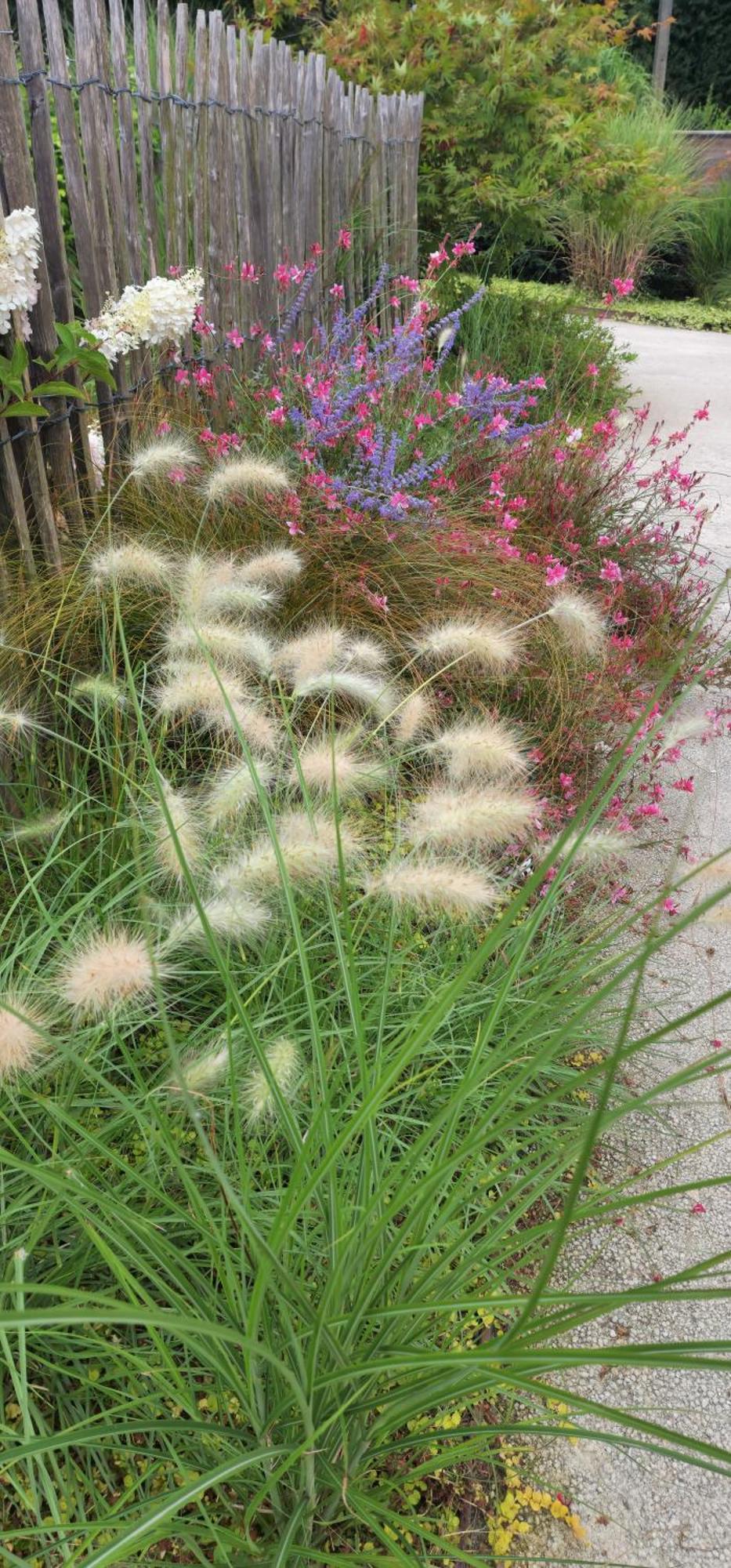 Les Gites Du Haut Pin Calorguen Esterno foto